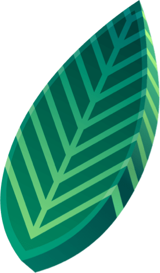 leaf 1