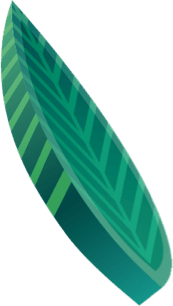 leaf 3